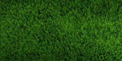 Green grass top view photo