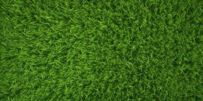 Green grass top view photo