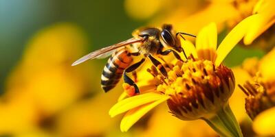 abeja en un flor macro de cerca foto