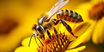 abeja en un flor macro de cerca foto