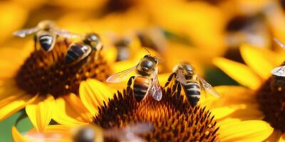 abeja en un flor macro de cerca foto