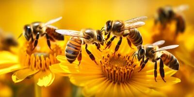 abeja en un flor macro de cerca foto