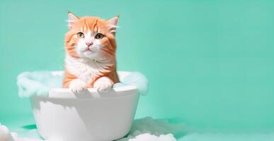 Cute kitten in a bath with foam banner photo