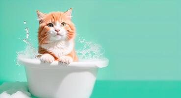 Cute kitten in a bath with foam banner photo