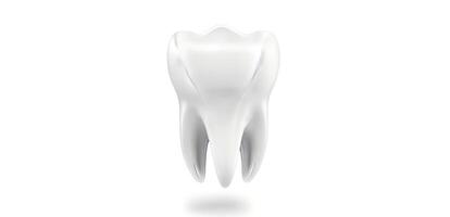 White tooth on a white background banner photo