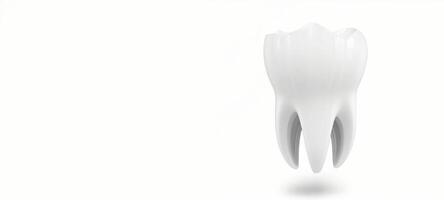 White tooth on a white background banner photo