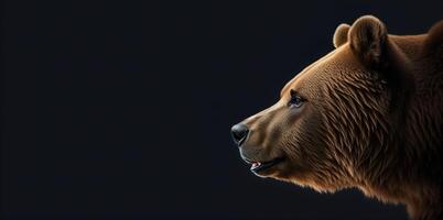 oso cabeza en perfil en un negro antecedentes bandera foto