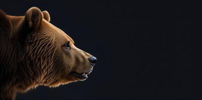 oso cabeza en perfil en un negro antecedentes bandera foto