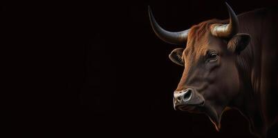 bull's head in profile on a black background banner photo