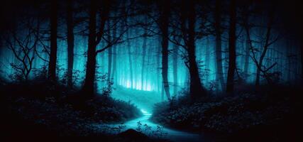 night misty magic forest panorama photo
