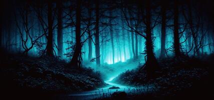 night misty magic forest panorama photo