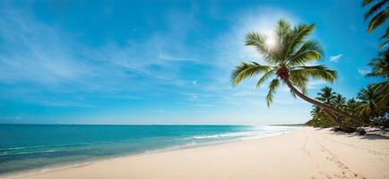 panoramic tropical beach with palm trees banner photo