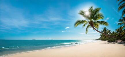 panorámico tropical playa con palma arboles bandera foto