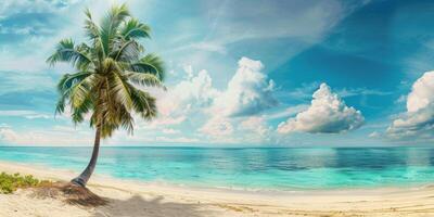 Palm tree and white sand against the background of the azure ocean photo