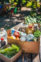 donando comida cajas a ayuda esos en necesitar foto