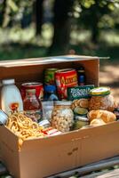 donando comida cajas a ayuda esos en necesitar foto