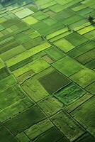 agricultural fields bird's eye view photo