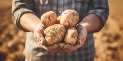 granjero participación vegetales y frutas en su manos foto