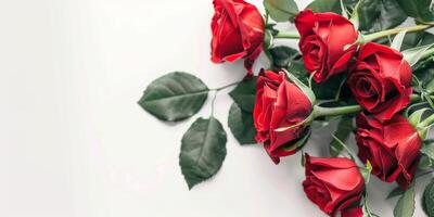 bouquet of red roses on the bed photo