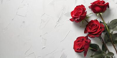 bouquet of red roses on the bed photo