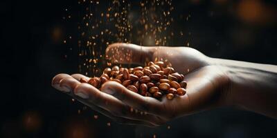 coffee beans in palms photo