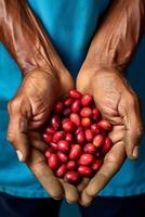 coffee beans in palms photo