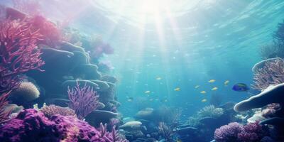 underwater world fish corals photo