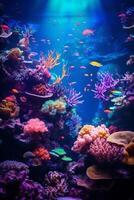 underwater world fish corals photo