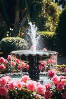 fuente en el parque de la ciudad foto