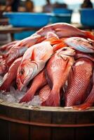 fresh seafood on market stalls photo