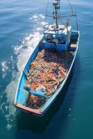 catching seafood in the ocean on boats photo