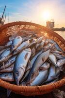 catching seafood in the ocean on boats photo