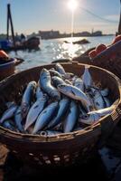catching seafood in the ocean on boats photo