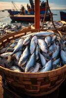 catching seafood in the ocean on boats photo