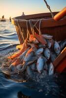 catching seafood in the ocean on boats photo