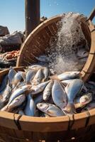 catching seafood in the ocean on boats photo