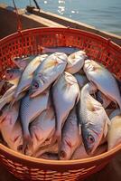 catching seafood in the ocean on boats photo