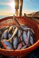 catching seafood in the ocean on boats photo