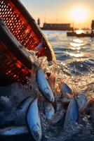 catching seafood in the ocean on boats photo