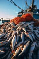 catching seafood in the ocean on boats photo