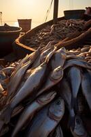 catching seafood in the ocean on boats photo