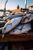 catching seafood in the ocean on boats photo