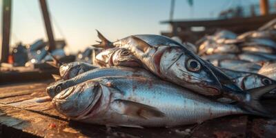 catching seafood in the ocean on boats photo