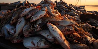 atrapando Mariscos en el Oceano en barcos foto