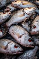catching seafood in the ocean on boats photo