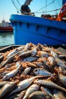 catching seafood in the ocean on boats photo