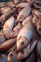 catching seafood in the ocean on boats photo