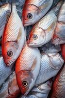 catching seafood in the ocean on boats photo