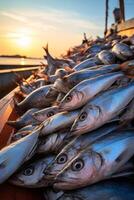 catching seafood in the ocean on boats photo