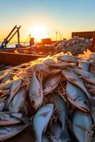catching seafood in the ocean on boats photo